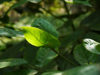 P1110982