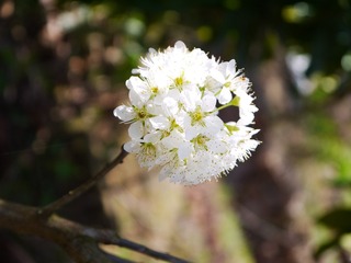P1110796