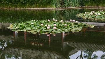 12004