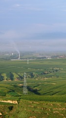 1000064223