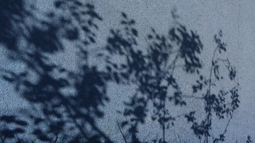 1000007177