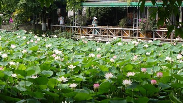 12000