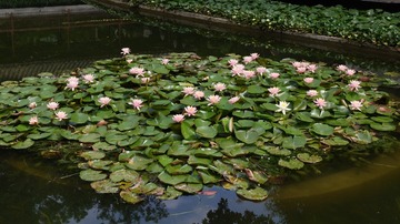 12003