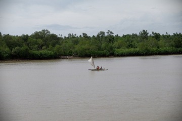LION0310.jpg