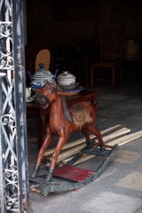 LION1458.jpg