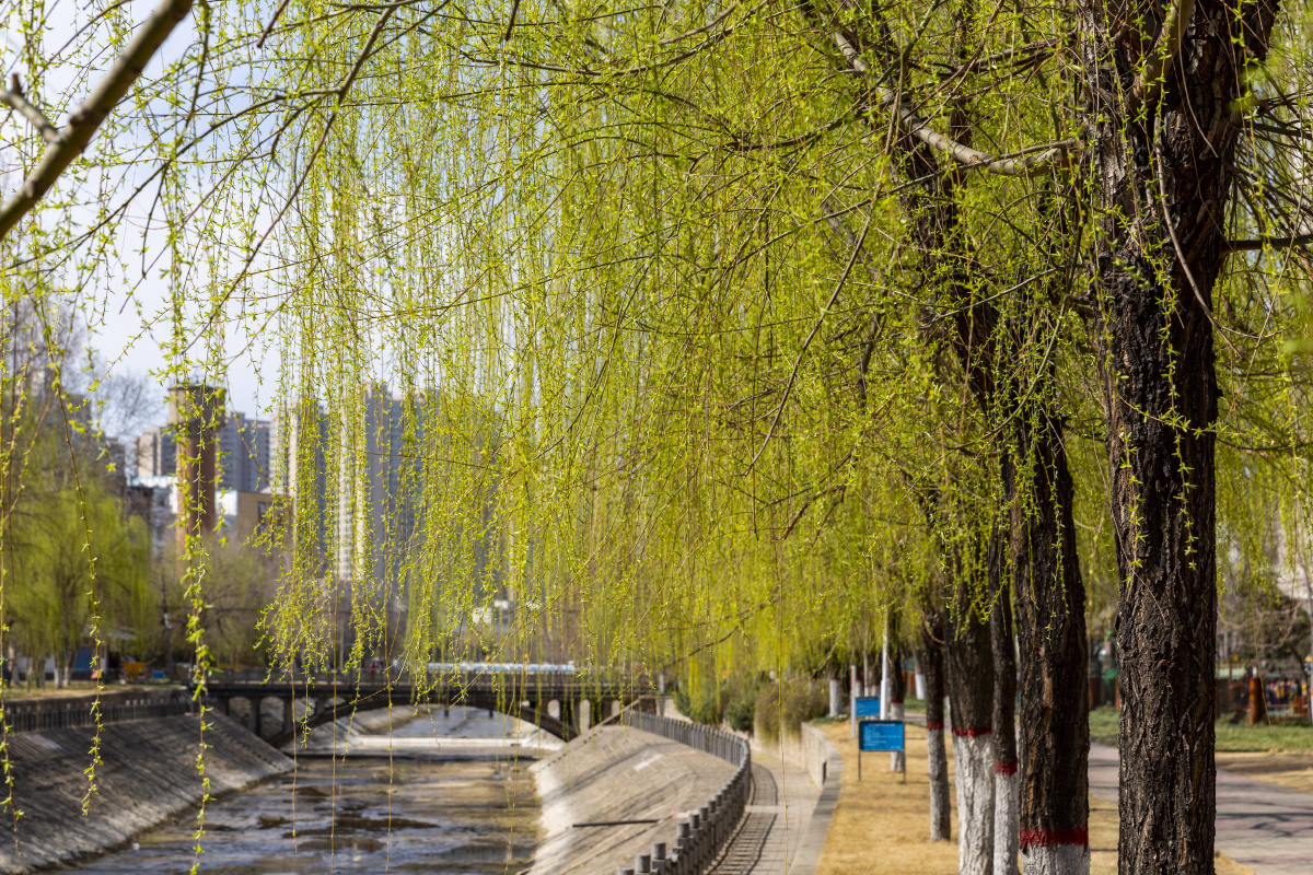 郑州金水河畔 - 右眼看景 - 图虫网 - 优质摄影师交流社区