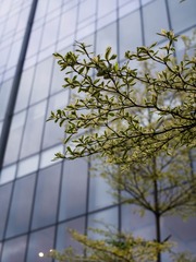 R0016098