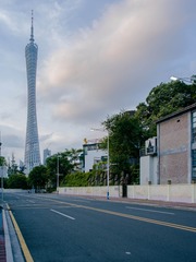 _0016574-2