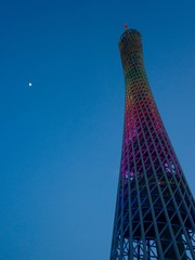 _0016608