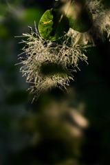 _DSC9468 1