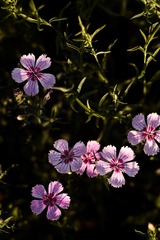 _DSC9563 1