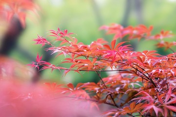 未标题1
