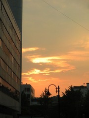 DSCN0240.jpg