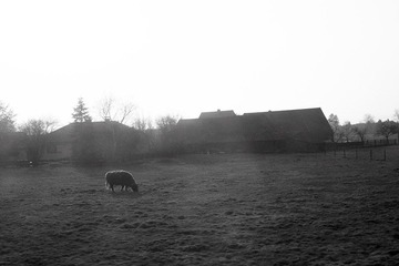 SDIM0400.jpg