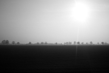 SDIM0408.jpg