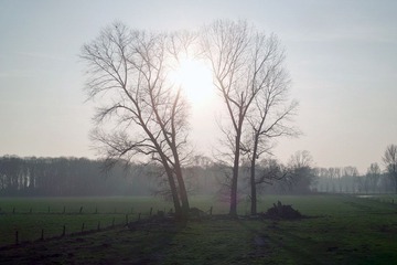 SDIM0418.jpg