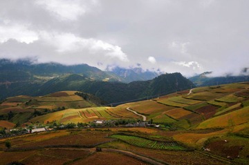 DSC_3199.JPG