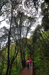 DSC_3816.JPG