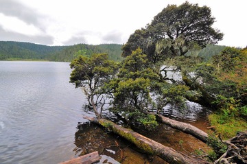 DSC_3836.JPG