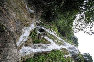 DSC_5121.JPG