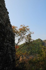 DSC_5447.JPG