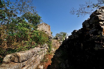 DSC_5400.JPG