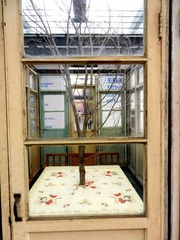 DSCN1350.JPG