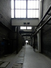 DSCN1393.JPG