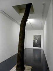 DSCN1437.JPG