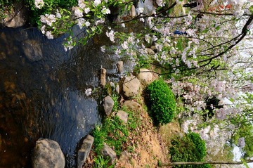 DSC_7775.JPG