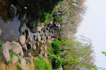 DSC_7784.JPG