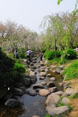DSC_7784-1.jpg