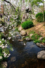 DSC_7775-1.jpg