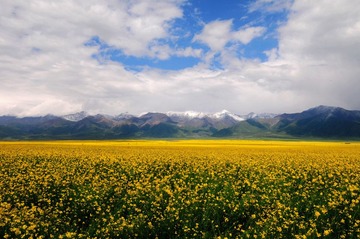 DSC_8253-1.jpg