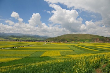 DSC_8112.JPG