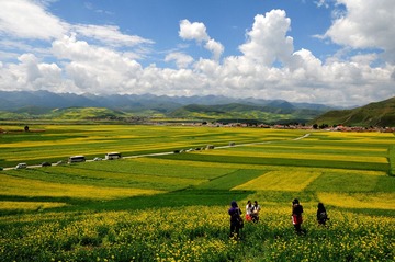 DSC_8114-1.jpg