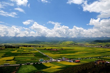 DSC_8135-1.jpg