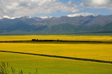DSC_8141-1.jpg