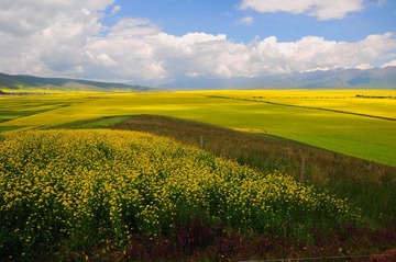DSC_8161-2.jpg