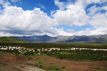 DSC_8292-1.jpg
