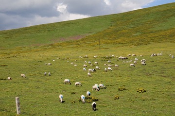 DSC_8297.JPG