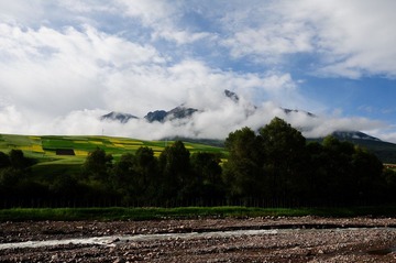DSC_8360.JPG