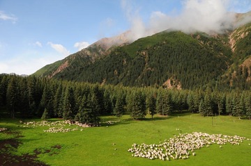 DSC_8375.JPG
