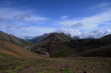 DSC_8462-1.jpg