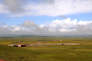 DSC_8482-1.jpg