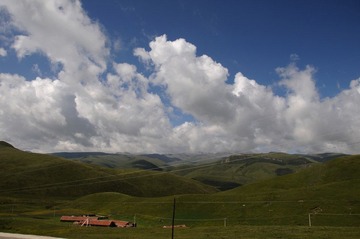 DSC_8537-1.jpg