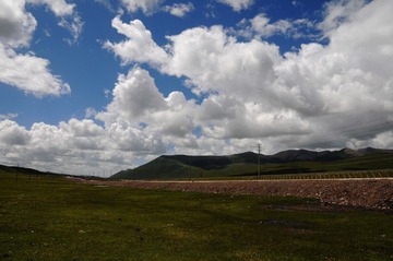 DSC_8541-1.jpg
