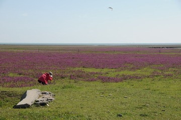 DSC_8713.JPG
