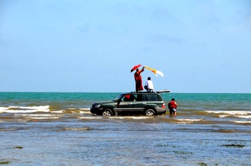 DSC_8740-1.jpg