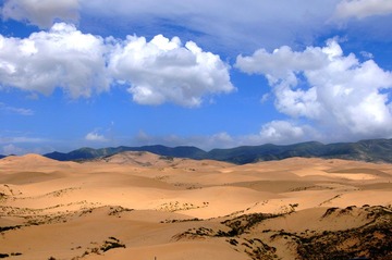 DSC_9153-1.jpg